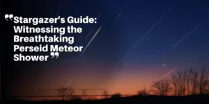 Stargazer’s Guide Witnessing the Breathtaking Perseid Meteor Shower_11zon