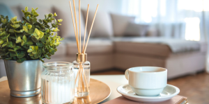 Refresh Your Home in Style: How to Use Points for Home Decor in 2025 P1 (1)