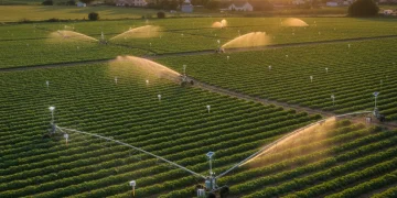 Campo agrícola español con sistemas de agricultura de precisión y dron sobrevolando al atardecer.